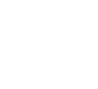 computer mouse